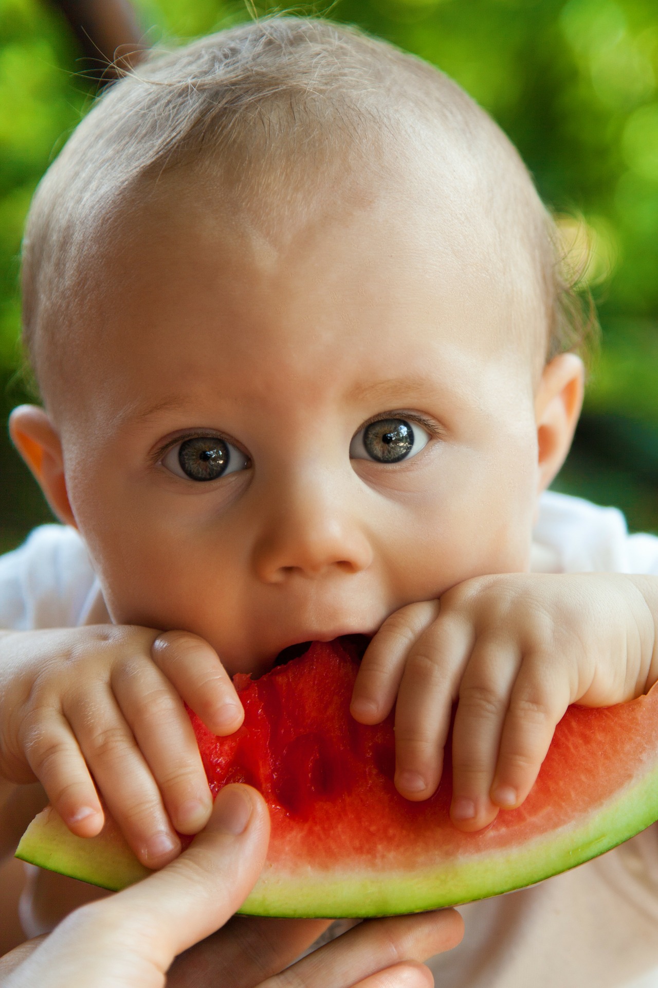 Babygeleitete Beikost | Essen am Familientisch von Anfang an - Online - (0701-0921I)