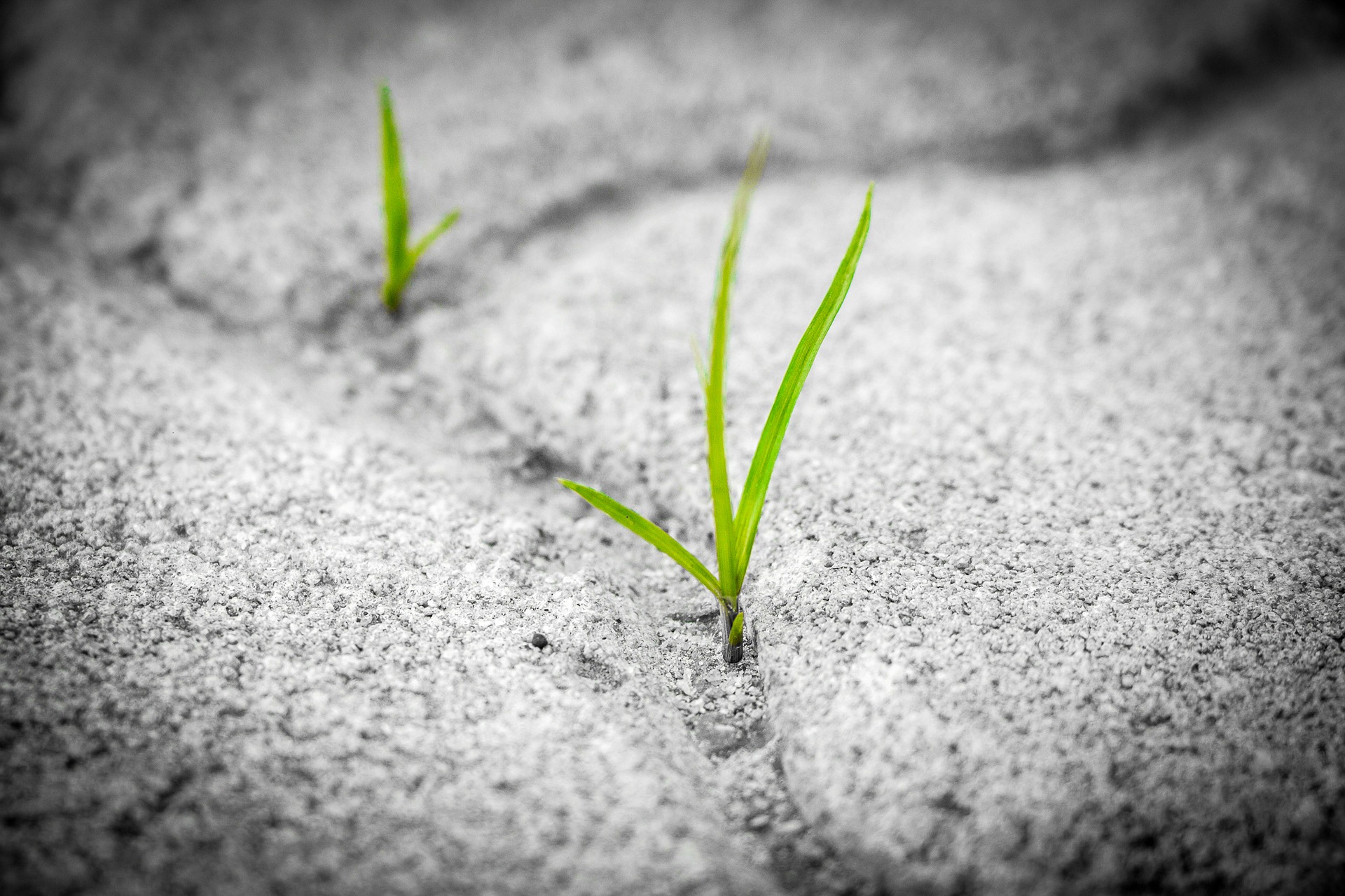 Resilienz stärken! | Positive Lebensgefühle in unsicheren Zeiten?! (0305-1022I)