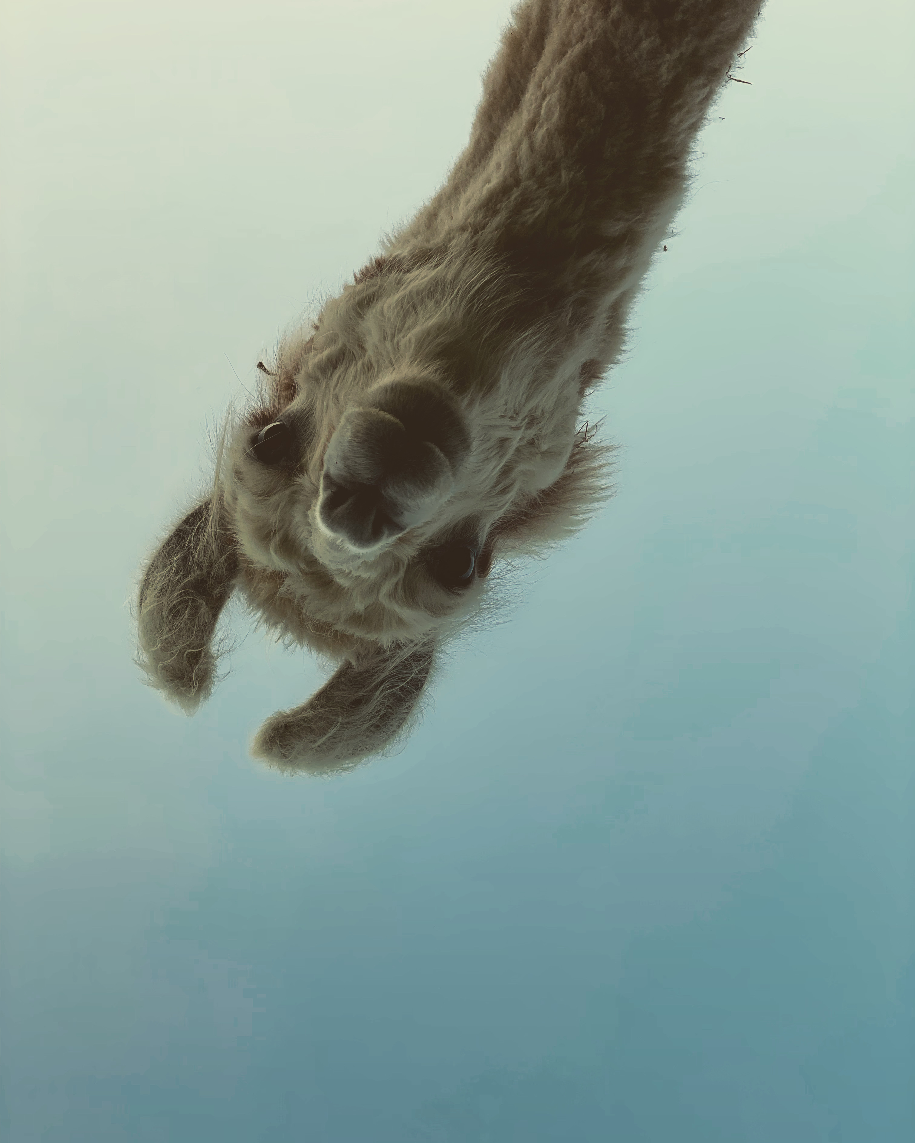 Lama Yoga | Entspannung & Ruhe finden