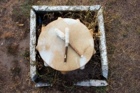 Basisseminar Schamanismus